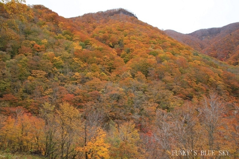 c0145250_11372098.jpg