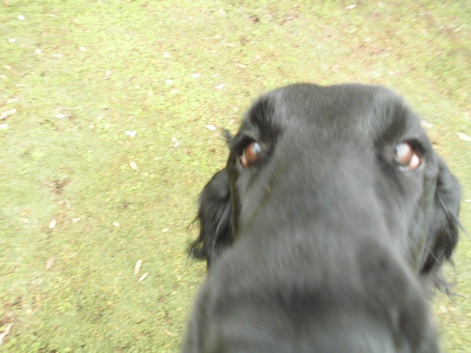 c0347153_10092507.jpg