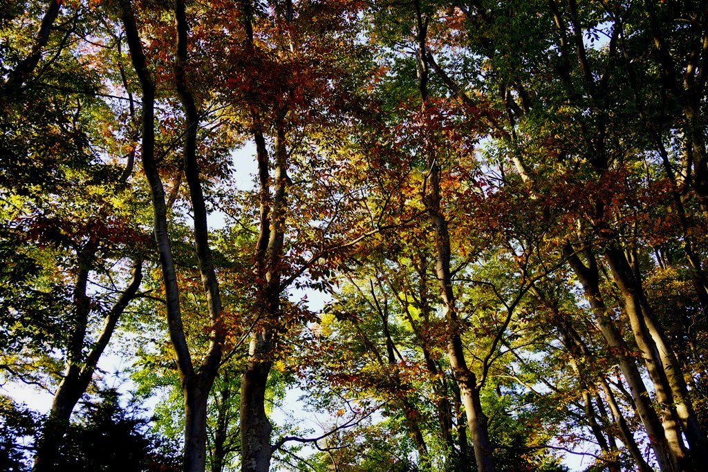 e0223456_14304546.jpg