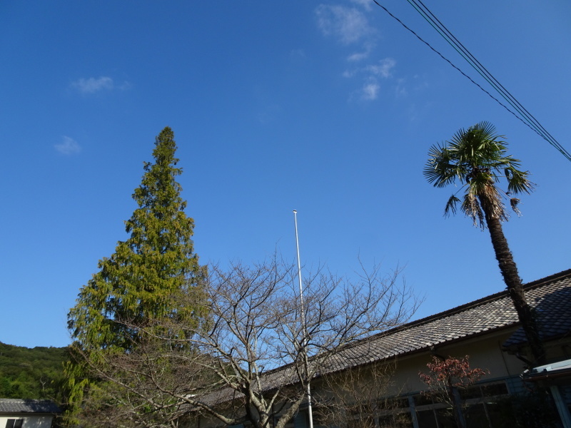 c0108460_22314751.jpg