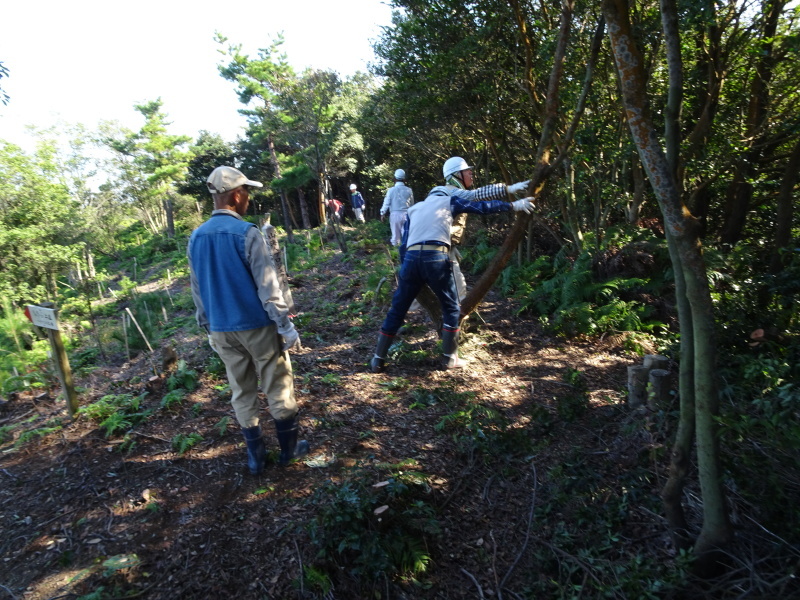 c0108460_22380346.jpg