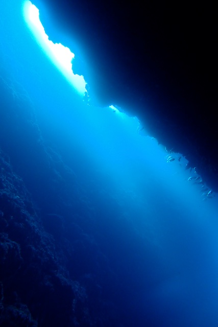 b0062363_17402560.jpg