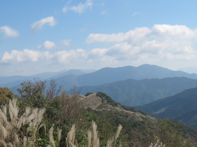 c0219866_913441.jpg