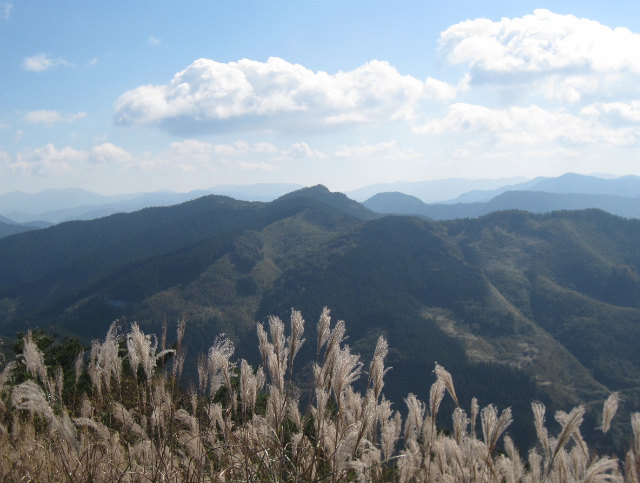 c0219866_91852.jpg
