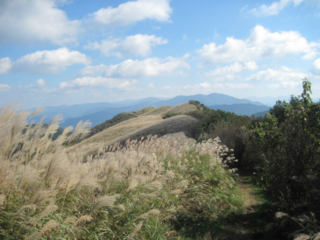 c0219866_94913.jpg