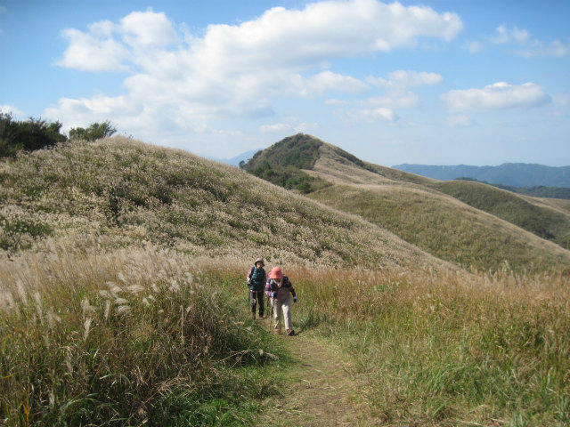 c0219866_951416.jpg