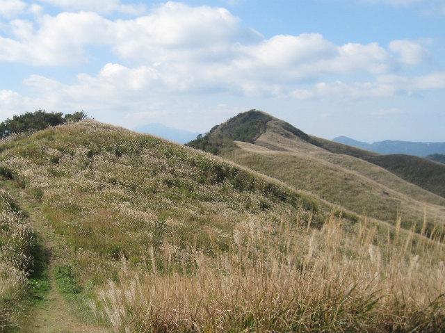c0219866_961224.jpg
