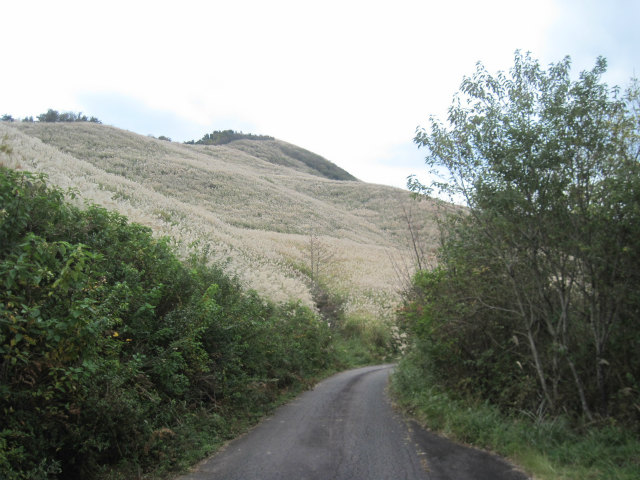 c0219866_97364.jpg