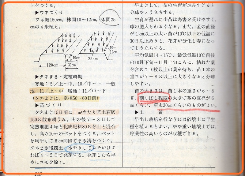 d0007071_20204747.jpg