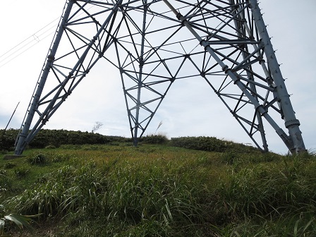 f0302771_141012.jpg