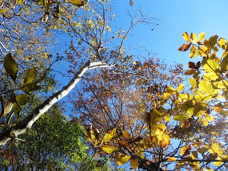 f0302771_1413138.jpg