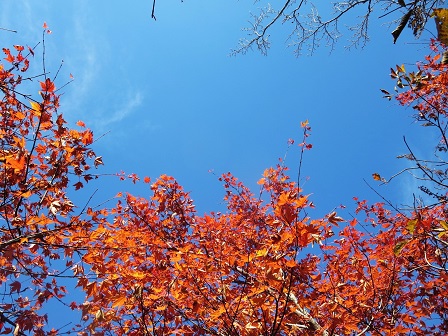 f0302771_1413177.jpg