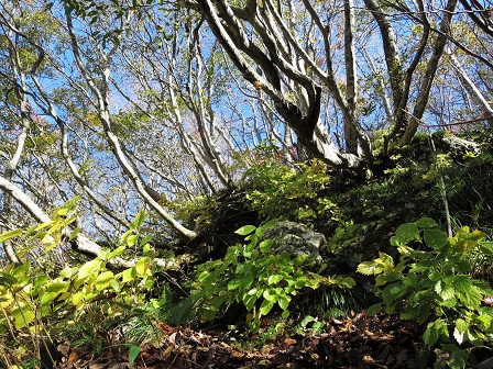 f0302771_14132593.jpg