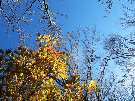 f0302771_14133452.jpg