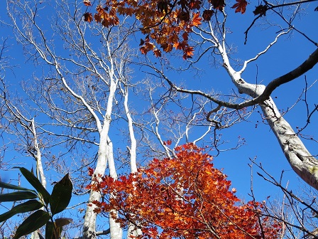 f0302771_14134755.jpg