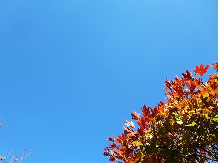 f0302771_14135275.jpg
