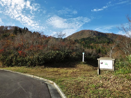 f0302771_1471914.jpg