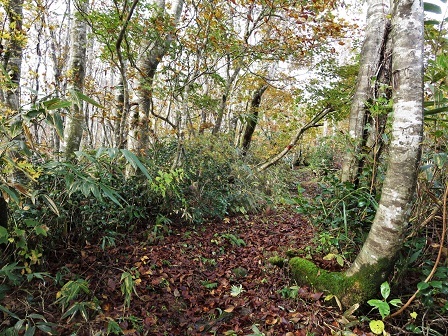 f0302771_148337.jpg