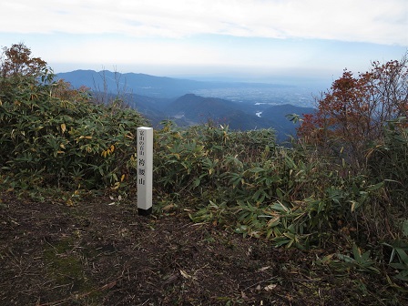 f0302771_1483714.jpg