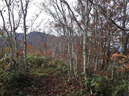 f0302771_1491570.jpg