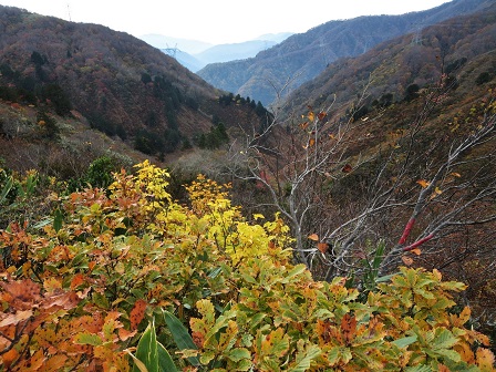 f0302771_1493151.jpg