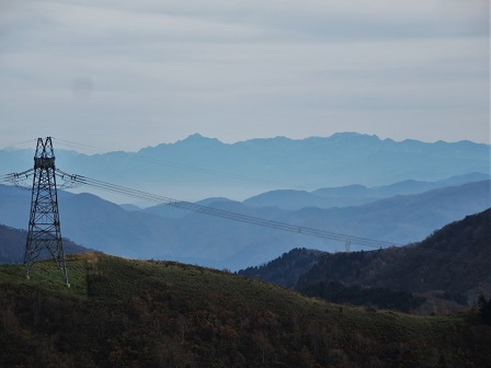 f0302771_1494534.jpg