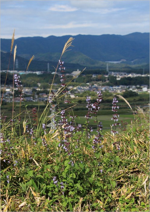 f0181173_23524475.jpg
