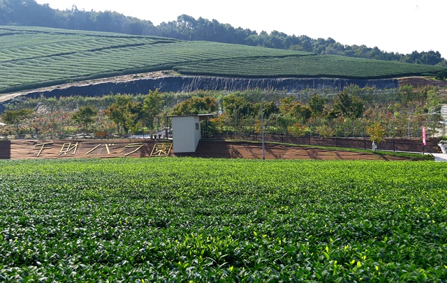 d0126577_2124890.jpg
