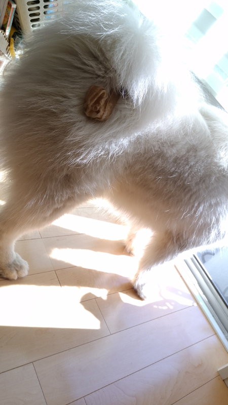 c0064678_1312795.jpg