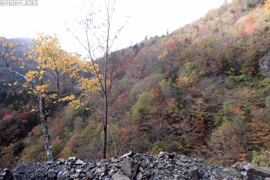 c0220084_1122767.jpg