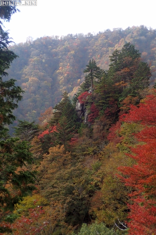 c0220084_1123569.jpg