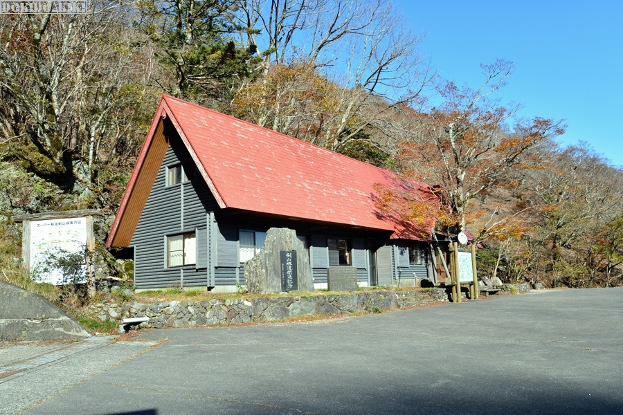 c0220084_1184466.jpg