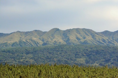 c0204385_18100268.jpg
