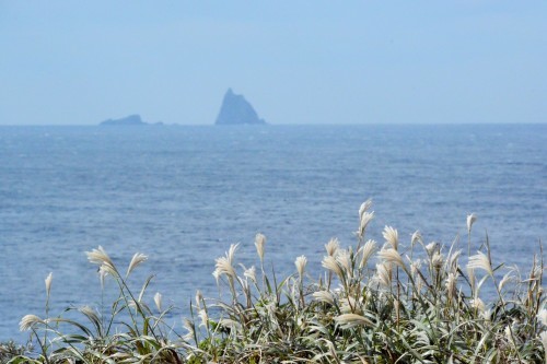 c0204385_18121755.jpg