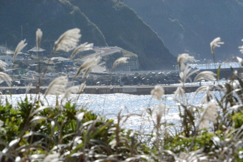 c0204385_18191876.jpg