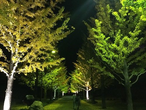 c0221885_21163230.jpg
