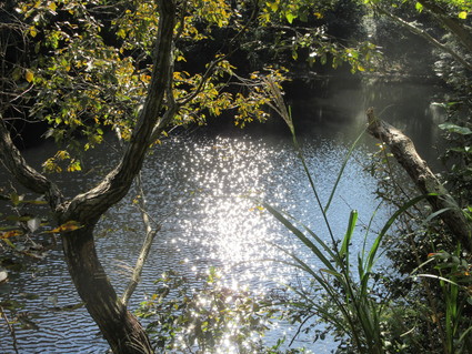 f0053885_21325649.jpg