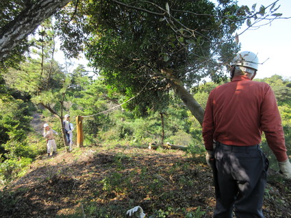 f0053885_2134778.jpg