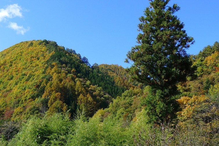 a0130586_14284518.jpg