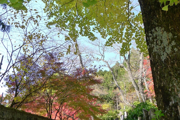 a0130586_14332527.jpg