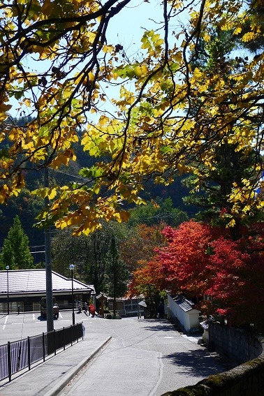 a0130586_14335834.jpg