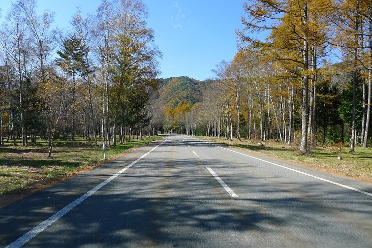a0130586_14563325.jpg