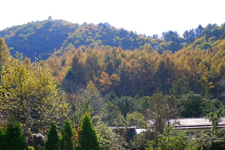 a0130586_17104529.jpg