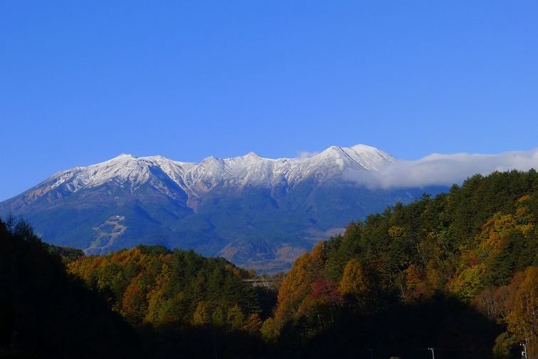 a0130586_8543678.jpg