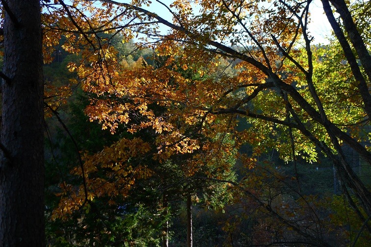 a0130586_8563718.jpg