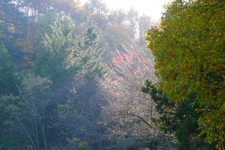 a0130586_901787.jpg