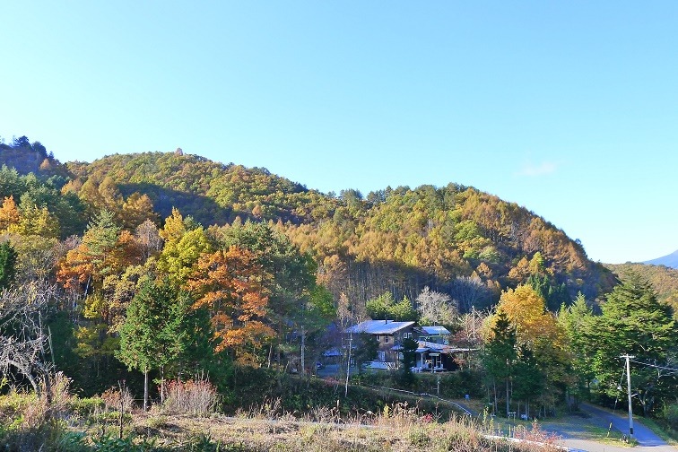 a0130586_915848.jpg
