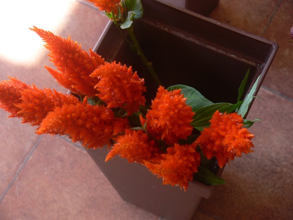 e0140986_1354953.jpg