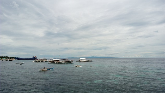 a0109187_17055475.jpg