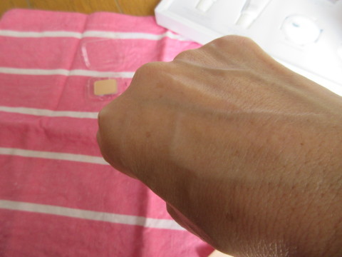 c0310987_10491550.jpg
